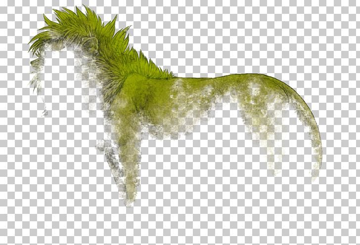 Canidae Dog Tail Wildlife Mammal PNG, Clipart, Animals, Canidae, Carnivoran, Diabolic, Dog Free PNG Download