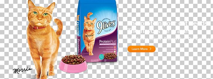 Cat Food 9Lives Pet Food PNG, Clipart, 9 Lives, 9lives, Animals, Cat, Cat Food Free PNG Download