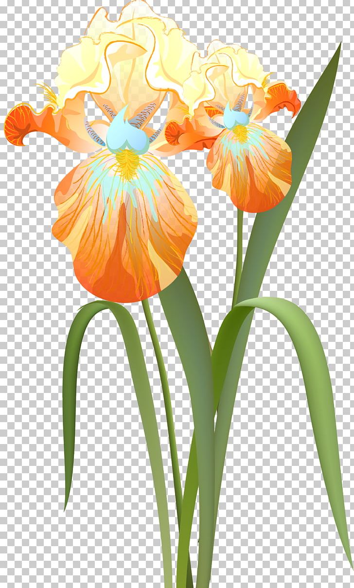 Cut Flowers Irises PNG, Clipart, Cattleya, Cut Flowers, Desktop Wallpaper, Fleur, Floral Design Free PNG Download