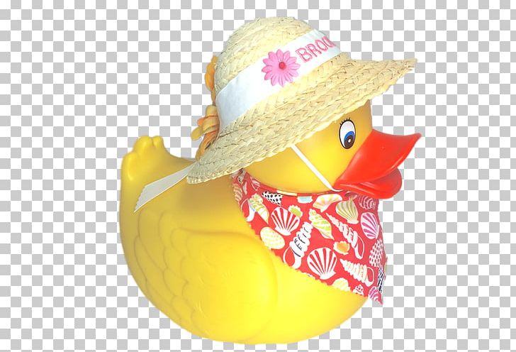 Hat Water Bird PNG, Clipart, Bird, Clothing, Ducks Geese And Swans, Floating Ribbon, Hat Free PNG Download