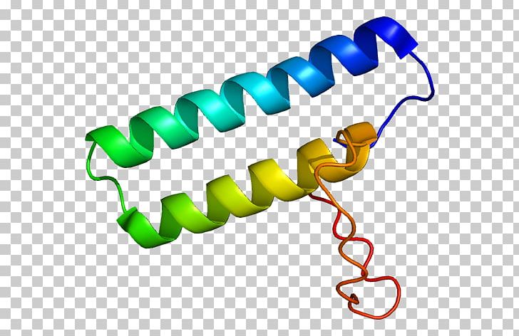 Protein Transfer RNA Aminoacyl TRNA Synthetase Translation Gene PNG, Clipart, Aminoacyltrna, Aminoacyl Trna Synthetase, Area, Artwork, Cytoplasm Free PNG Download