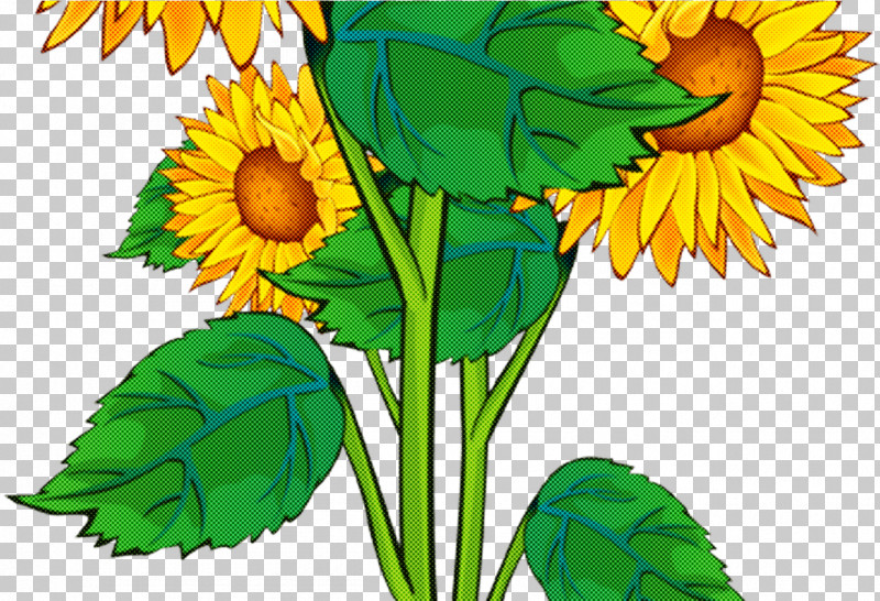 Floral Design PNG, Clipart, Chrysanthemum, Cut Flowers, Dandelion, Floral Design, Flower Free PNG Download