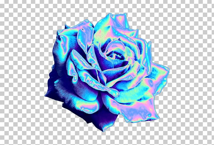 Blue Rose Garden Roses Tumblr Blog PNG, Clipart, Blue, Blue Rose, Cobalt Blue, Cut Flowers, Electric Blue Free PNG Download