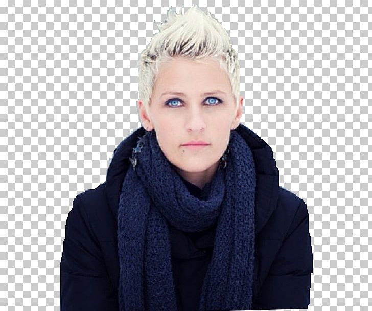 Ellen DeGeneres Finding Nemo 39th People's Choice Awards Comedian Television PNG, Clipart,  Free PNG Download