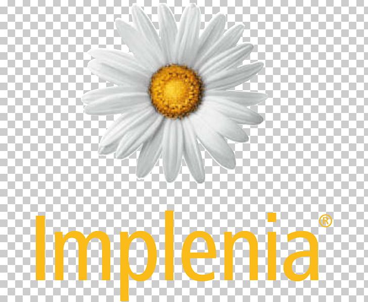 Implenia Norge AS Architectural Engineering Business Project PNG, Clipart, Architectural Engineering, Business, Chamaemelum Nobile, Chrysanths, Computer Wallpaper Free PNG Download