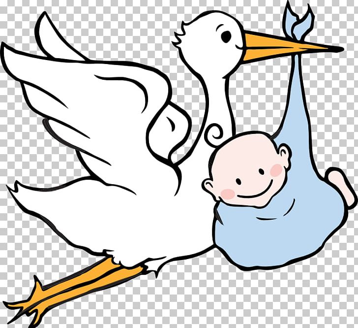 White Stork Infant PNG, Clipart, Animals, Area, Art, Artwork, Baby Announcement Free PNG Download