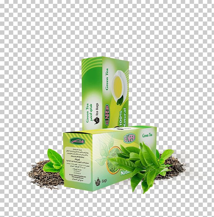 Green Tea Tea Bag Herb PNG, Clipart, Bag, Culture, Food Drinks, Green Tea, Herb Free PNG Download