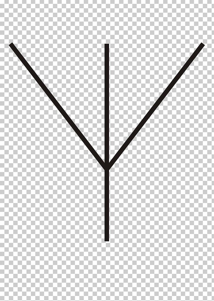 Line Angle Tree PNG, Clipart, Angle, Antenne, Art, Line, Symmetry Free PNG Download