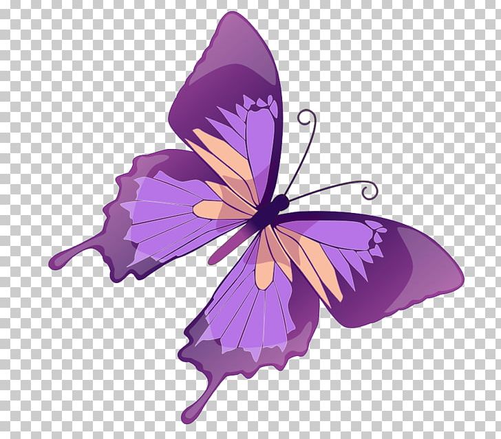 Butterfly Photography PNG, Clipart, Arth, Brush Footed Butterfly, Butterfly, Color, Flower Free PNG Download