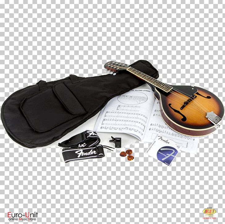 Plucked String Instrument Electric Mandolin Musical Instruments Banjo PNG, Clipart, Acousticelectric Guitar, Banjo, Electric Guitar, Electric Mandolin, Epiphone Free PNG Download