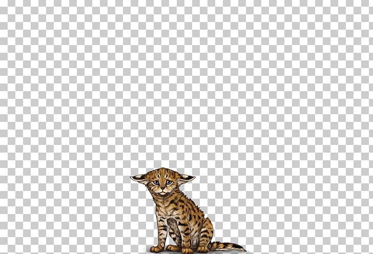 Big Cat Cheetah Terrestrial Animal Tail PNG, Clipart, Animal, Animals, Big Cat, Big Cats, Carnivoran Free PNG Download