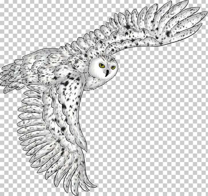 Owl Eagle Beak Line Art Fauna PNG, Clipart, Animals, Art, Beak, Bird, Bird Of Prey Free PNG Download