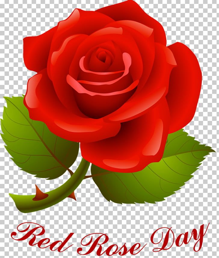 Rose Valentine's Day Red PNG, Clipart, China Rose, Cut Flowers, Floral Design, Floribunda, Floristry Free PNG Download