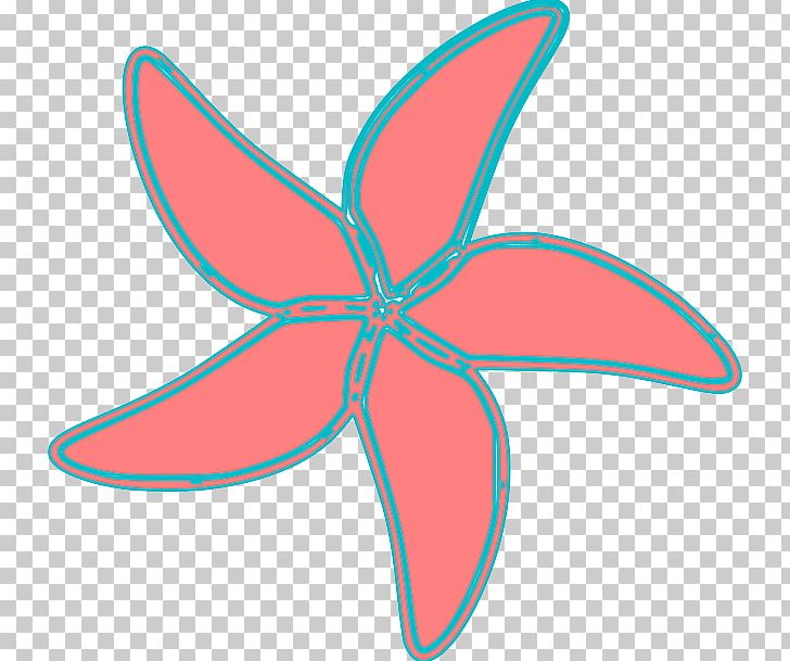 Starfish Computer Icons PNG, Clipart, Animals, Area, Computer Icons, Download, Drawing Free PNG Download