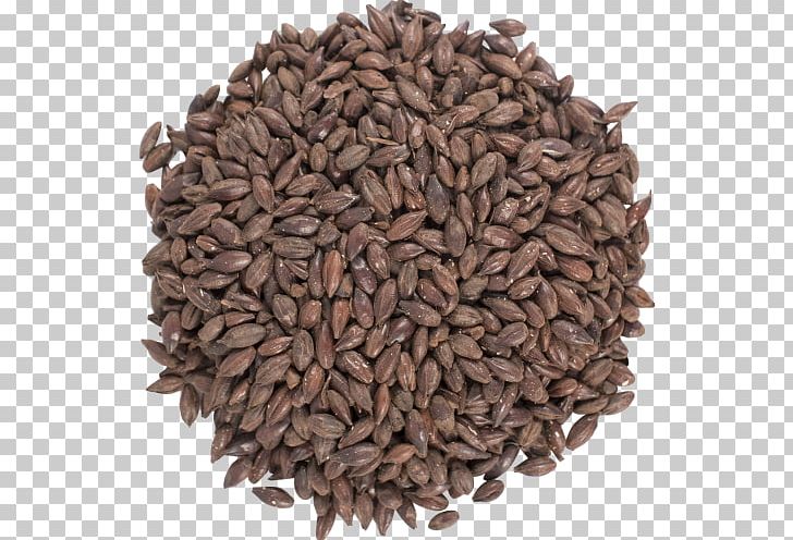 Beer Pilsner Stout Malt Porter PNG, Clipart, Barley, Beer, Beer Brewing Grains Malts, Cereal, Commodity Free PNG Download