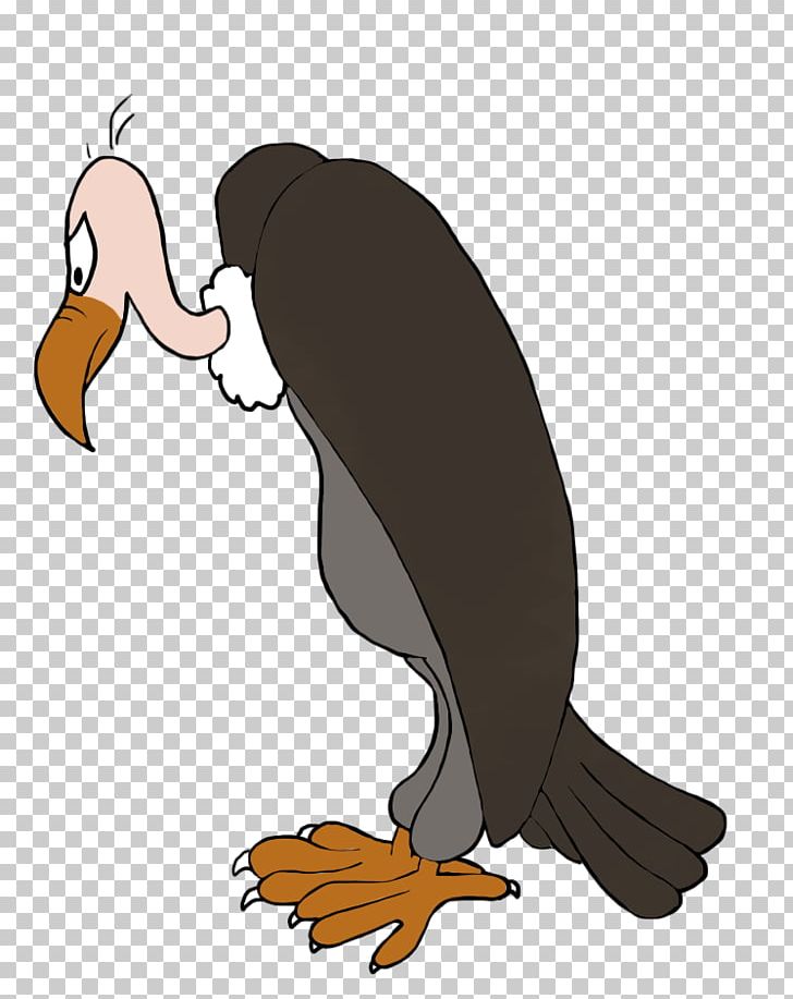 Duck Beaky Buzzard Turkey Vulture PNG, Clipart, Animals, Beak, Beaky Buzzard, Bird, Bird Clipart Free PNG Download