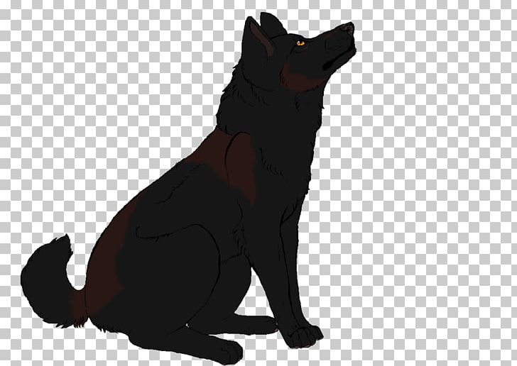 Schipperke Black Cat Puppy Dog Breed PNG, Clipart, Animals, Black, Black Cat, Breed, Carnivoran Free PNG Download