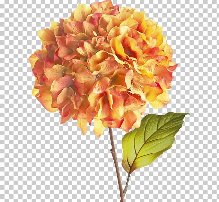 Hydrangea Cut Flowers Floral Design Flower Bouquet PNG, Clipart, Agac Resimleri, Artificial Flower, Cornales, Cut Flowers, Floral Design Free PNG Download