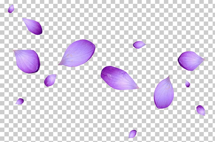 Petal Flower Portable Network Graphics Purple PNG, Clipart, Blue, Blue Rose, Color, Computer Wallpaper, Download Free PNG Download