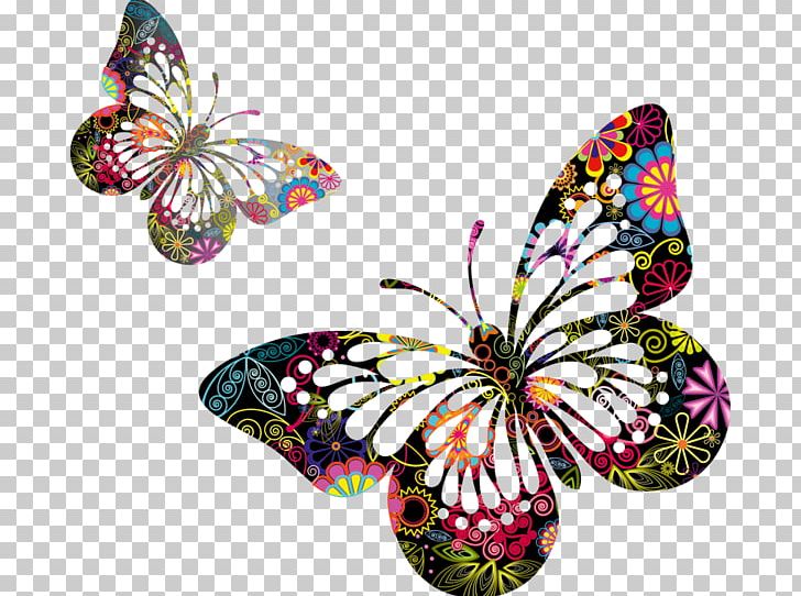 Butterfly Insect PNG, Clipart, Beautiful Butterfly, Brush Footed Butterfly, Butterflies And Moths, Butterfly, Clip  Free PNG Download