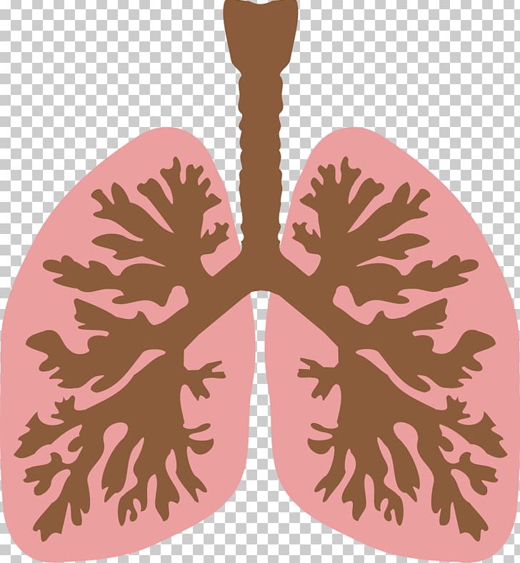 Lung Bronchus Human Body PNG, Clipart, Anatomy, Bronchus, Drawing, Euclidean Vector, Human Body Free PNG Download