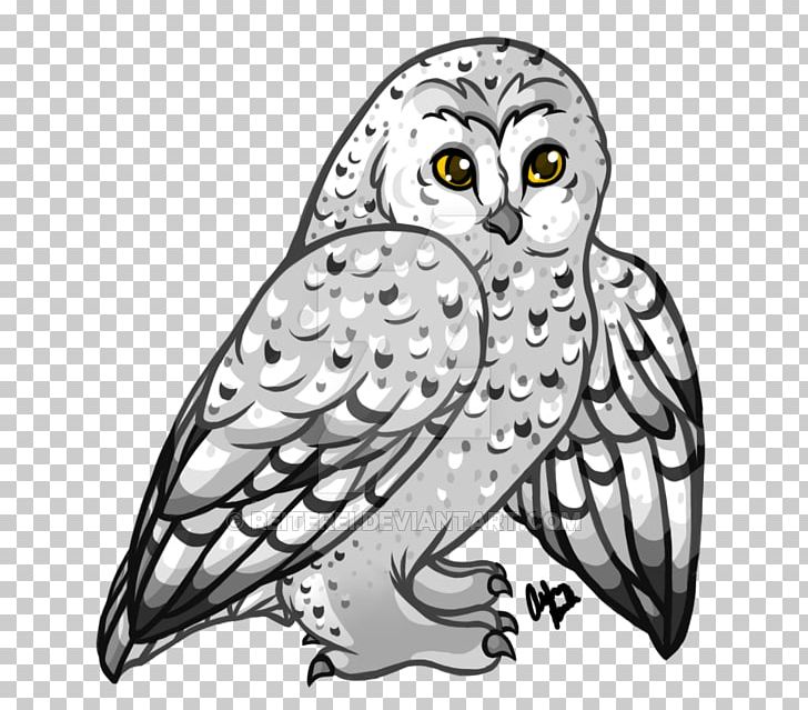 Owl Beak Bird Line Art PNG, Clipart, Art, Beak, Bird, Bird Of Prey, Black And White Free PNG Download