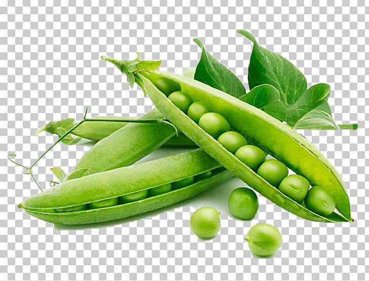 Snow Pea Organic Food Vegetable Legume PNG, Clipart, Chicory, Crop, Dietary Fiber, Food, Food Drinks Free PNG Download