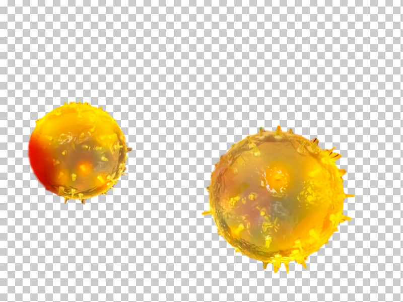 Coronavirus Disease Corona COVID19 PNG, Clipart, Amber, Corona, Coronavirus Disease, Covid19, Earrings Free PNG Download