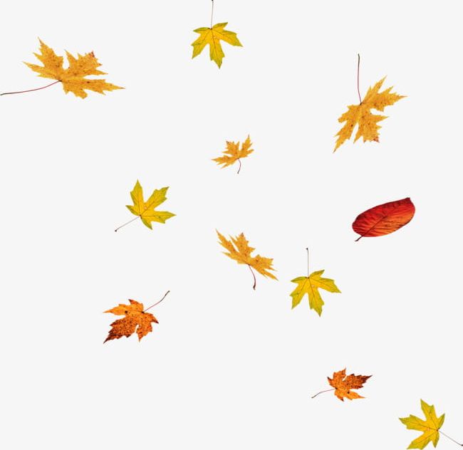leaves falling clip art