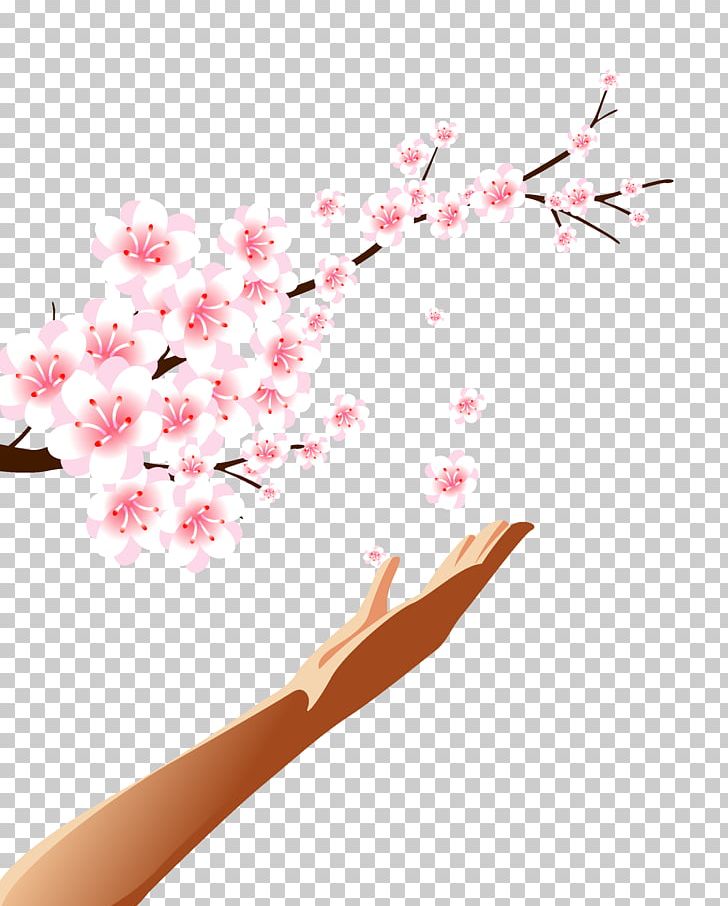 Higashihiroshima Higashi-Hiroshima Wu Motorway No PNG, Clipart, Branch, Button, Cherry Blossom, Christmas Decoration, Corner Free PNG Download