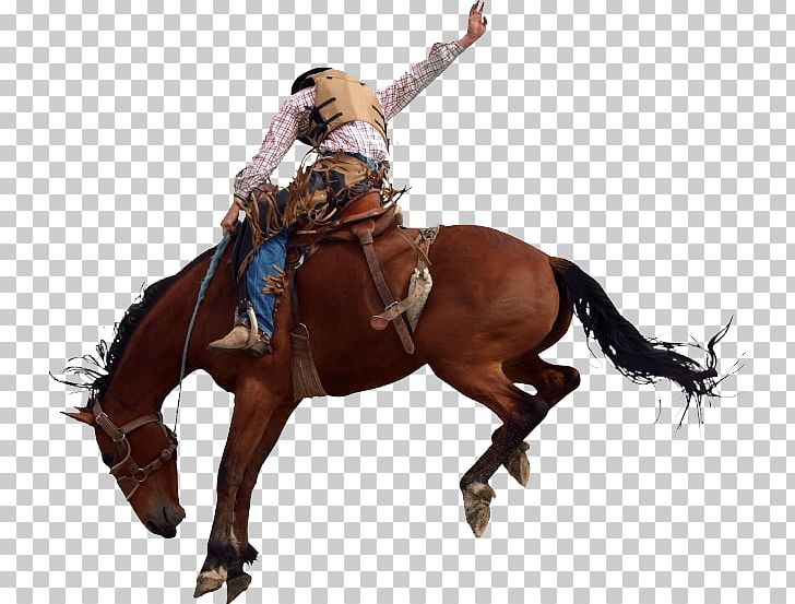 bronc riding clipart