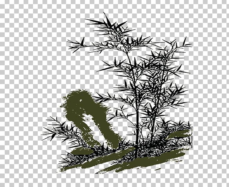 La Pintura China Chinese Painting Bamboo PNG, Clipart, Black And White, Branch, China, Chinese, Chinese Free PNG Download