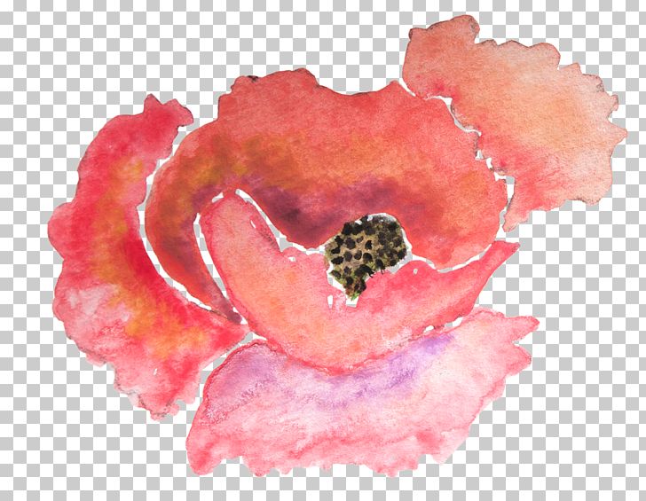 Paper Poppy Watercolor Painting Flower Zazzle PNG, Clipart, Art, Burgundy, Common Poppy, Coral, Cushion Free PNG Download