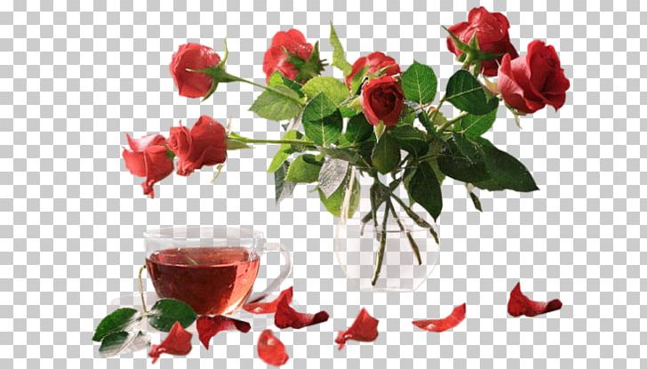 Rose Flower Sentiero Di Stelle Internet PNG, Clipart, Cut Flowers, Fleur, Floral Design, Floristry, Flower Free PNG Download