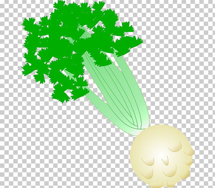 Celery Celeriac PNG, Clipart, Celeriac, Celery, Computer Icons, Flower, Flowering Plant Free PNG Download