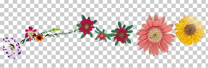 Desktop PNG, Clipart, Computer, Computer Wallpaper, Cut Flowers, Daisy Family, Desktop Wallpaper Free PNG Download