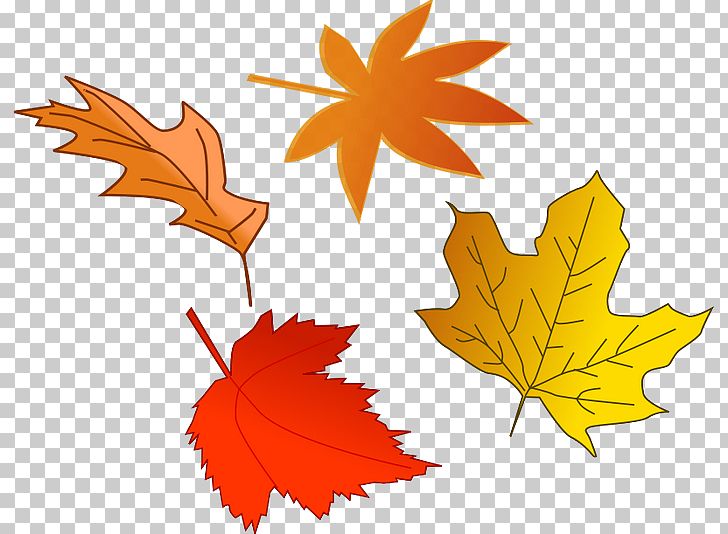 Autumn Leaf Color PNG, Clipart, Art, Autumn, Autumn Leaf Color, Clipart, Clip Art Free PNG Download