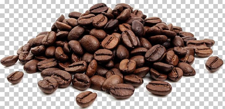 Coffee Bean Tea Cafe Jamaican Blue Mountain Coffee PNG, Clipart, Bean, Beans, Cafe, Caffeine, Cocoa Bean Free PNG Download
