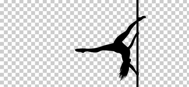 Pole Dance PNG, Clipart, Pole Dance Free PNG Download