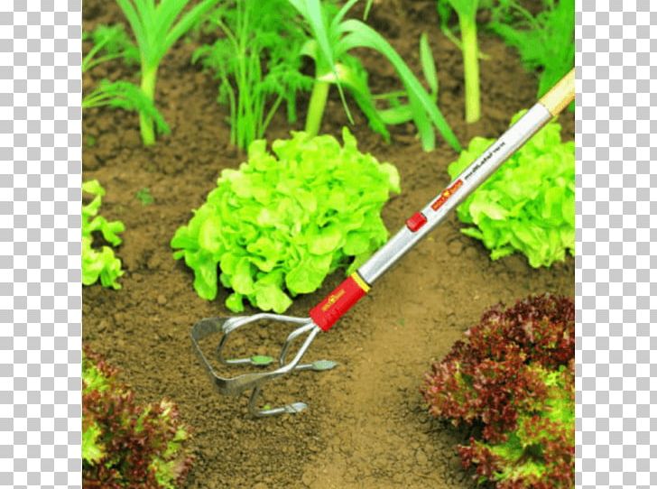 Weeder Gardening Tool Handle PNG, Clipart, Binage, Blade, Cultivator, Cultivator Manual, Garden Free PNG Download