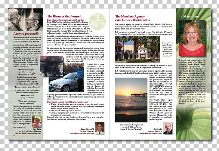 Advertising Media Magazine Brochure PNG, Clipart, Advertising, Animals, Brochure, Elephant, Magazine Free PNG Download