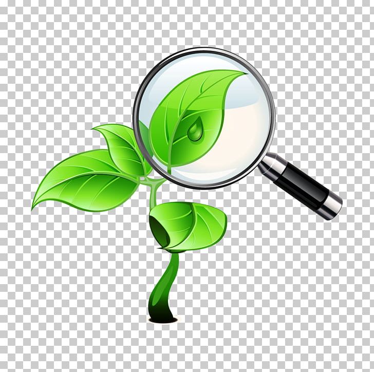 Biology Ecology School Lesson Class PNG, Clipart, Academic Year, Biology, Chemistry, Class, College Free PNG Download