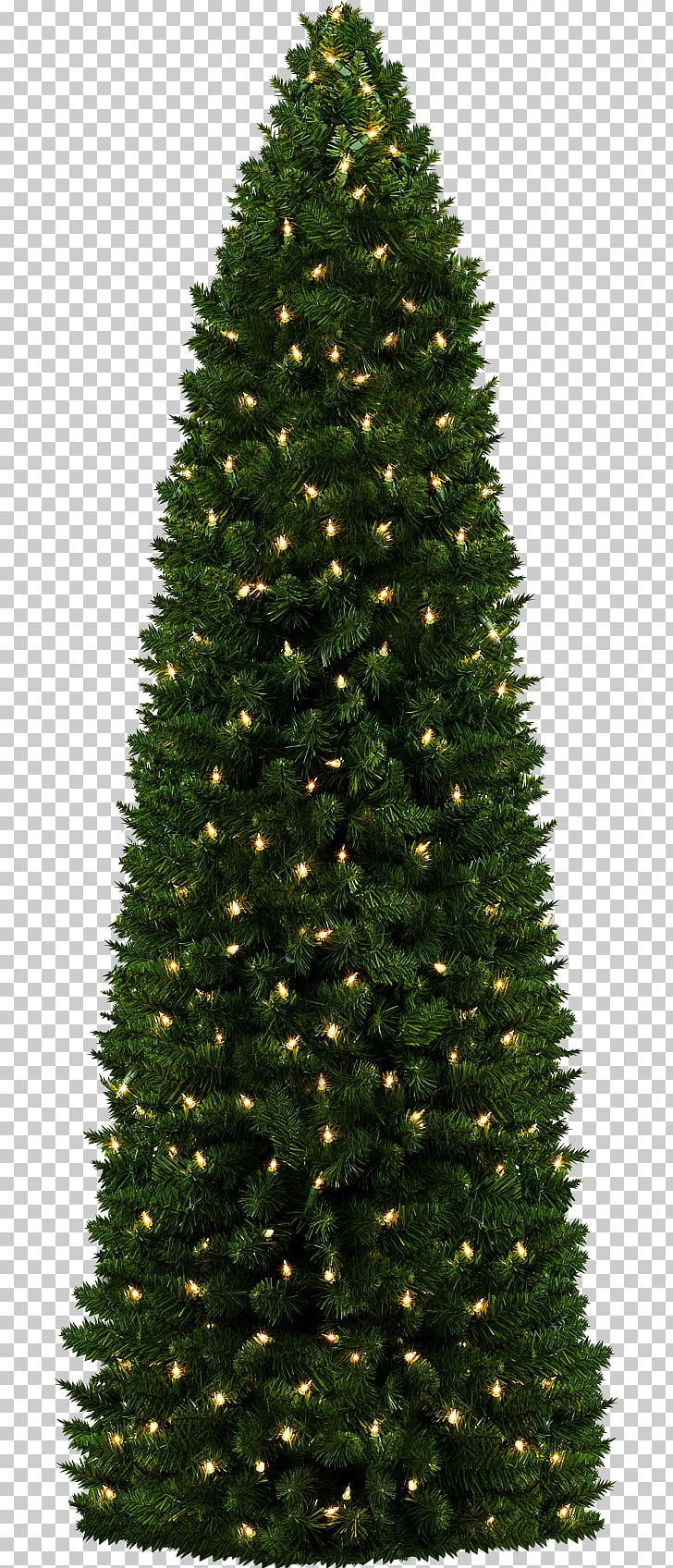 Christmas Tree PNG, Clipart, Biome, Christmas, Christmas Decoration, Christmas Gift, Christmas Ornament Free PNG Download