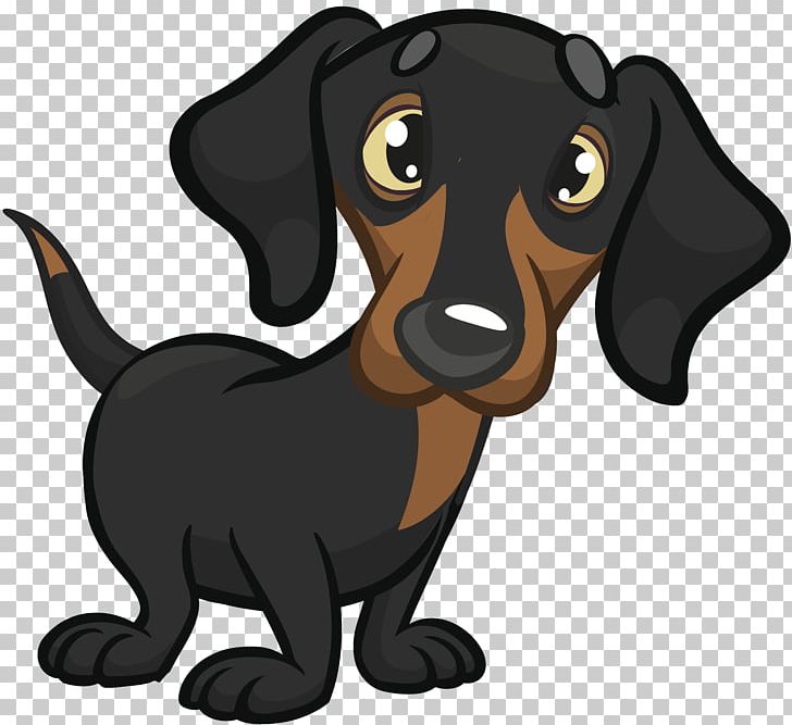 Dachshund Cockapoo Puppy PNG, Clipart, Animals, Breed, Carnivoran, Cartoon,  Cartoon Vector Free PNG Download