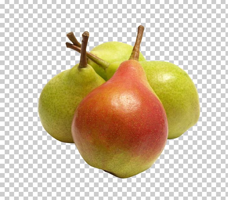 Fruit Tree Orange Apple PNG, Clipart, Downloads, Food, Fruit, Fruit Nut, Fruits Photography Free PNG Download