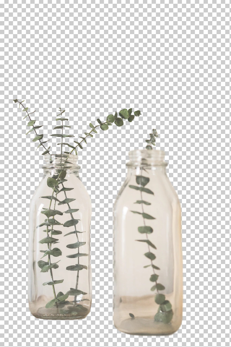Glass Bottle Glass Bottle Jar Vase PNG, Clipart, Bottle, Branch, Flower, Flowerpot, Glass Free PNG Download