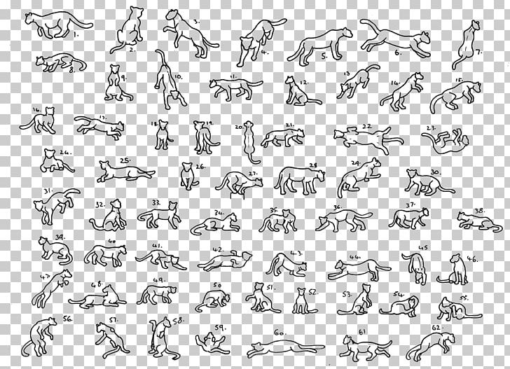 Cat Drawing Felidae Dog Sketch PNG, Clipart, Angle, Animals, Area, Art, Art Museum Free PNG Download
