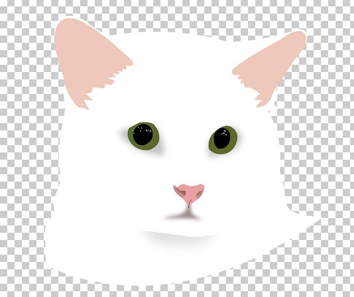 Kitten Whiskers Free Content PNG, Clipart, Carnivoran, Cat, Cat Like Mammal, Dog Like Mammal, Domestic Shorthaired Cat Free PNG Download