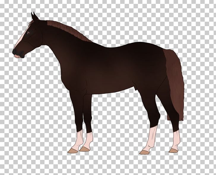 Pony Stallion Arabian Horse Mustang Caspian Horse PNG, Clipart,  Free PNG Download