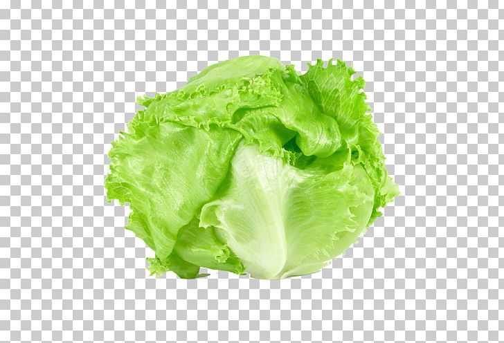 Romaine Lettuce Iceberg Lettuce Salad Butterhead Lettuce Vegetable PNG, Clipart, Butterhead Lettuce, Cabbage, Endive, Food, Iceberg Lettuce Free PNG Download